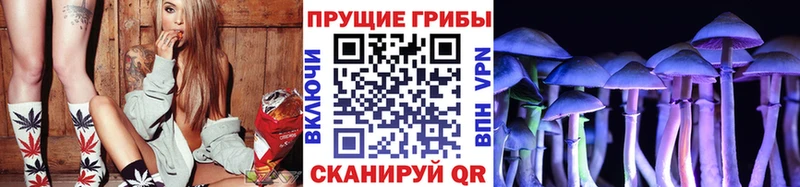 Псилоцибиновые грибы прущие грибы  даркнет сайт  Ессентукская 